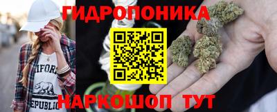 тгк Аргун