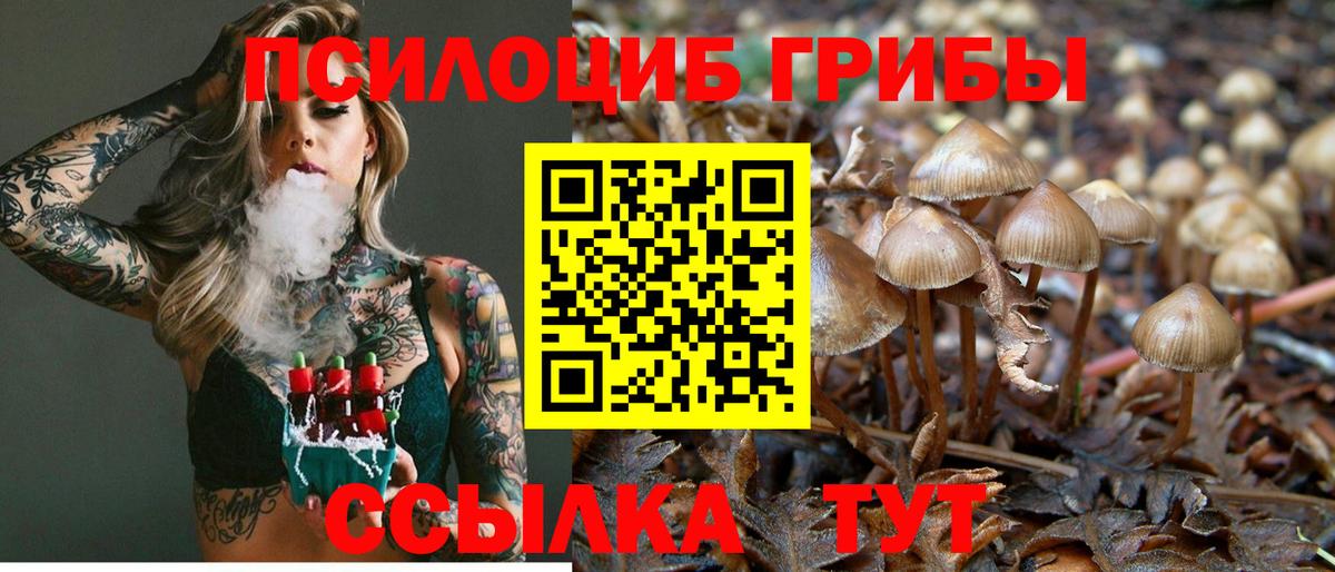 Белогорск  Псилоцибиновые грибы мицелий  Вход с VPN  Галлюциногенные грибы Psilocybine cubensis 